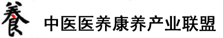 黄污污污男捅女免费软件